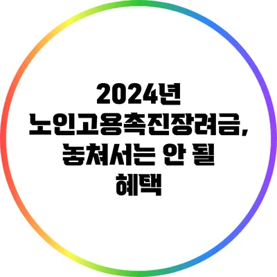 2024년 노인고용촉진장려금, 놓쳐서는 안 될 혜택