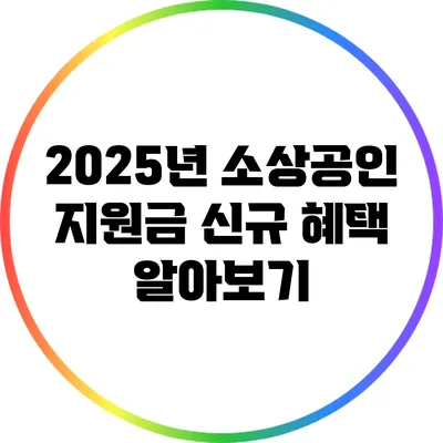 2025년 소상공인 지원금 신규 혜택 알아보기