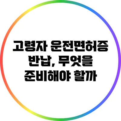 고령자 운전면허증 반납, 무엇을 준비해야 할까?