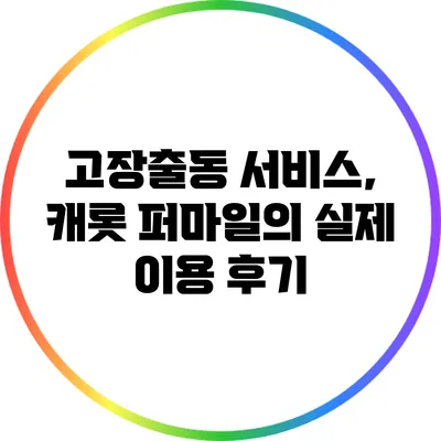 고장출동 서비스, 캐롯 퍼마일의 실제 이용 후기