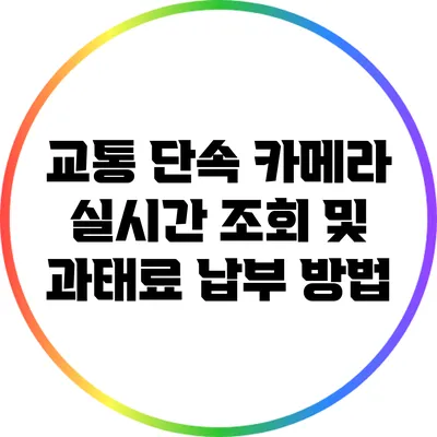 교통 단속 카메라: 실시간 조회 및 과태료 납부 방법