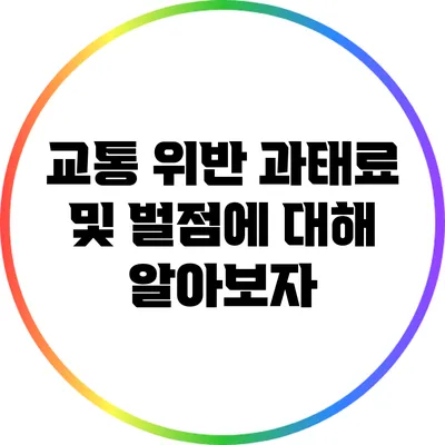 교통 위반 과태료 및 벌점에 대해 알아보자