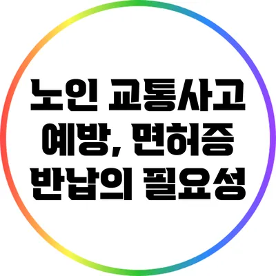 노인 교통사고 예방, 면허증 반납의 필요성