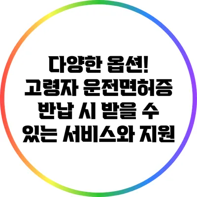 다양한 옵션! 고령자 운전면허증 반납 시 받을 수 있는 서비스와 지원