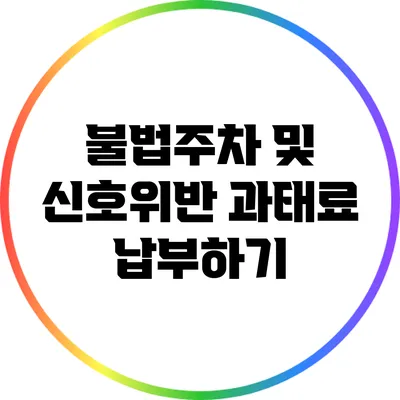 불법주차 및 신호위반 과태료 납부하기