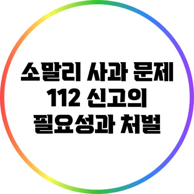 소말리 사과 문제: 112 신고의 필요성과 처벌