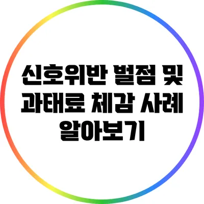 신호위반 벌점 및 과태료 체감 사례 알아보기