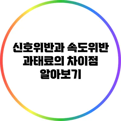 신호위반과 속도위반 과태료의 차이점 알아보기