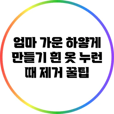 엄마 가운 하얗게 만들기: 흰 옷 누런 때 제거 꿀팁