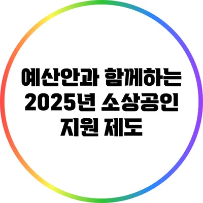 예산안과 함께하는 2025년 소상공인 지원 제도