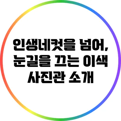 인생네컷을 넘어, 눈길을 끄는 이색 사진관 소개