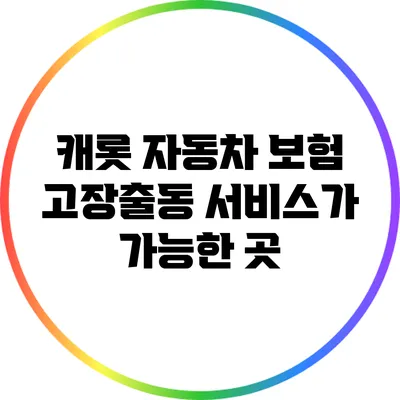 캐롯 자동차 보험: 고장출동 서비스가 가능한 곳