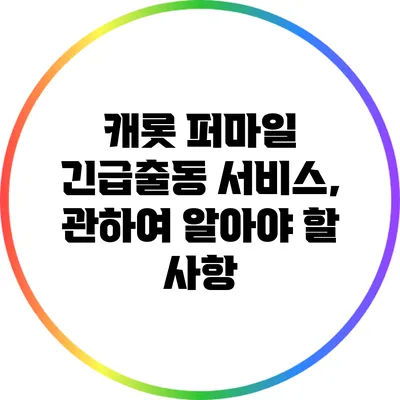 캐롯 퍼마일 긴급출동 서비스, 관하여 알아야 할 사항