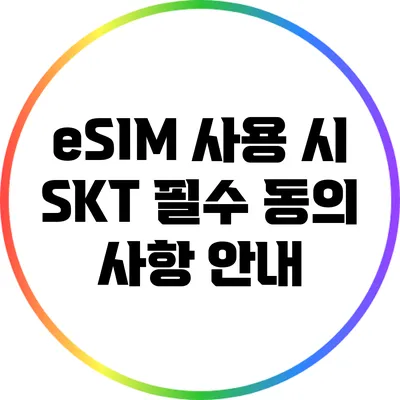 eSIM 사용 시 SKT 필수 동의 사항 안내