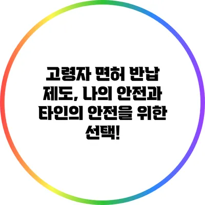 고령자 면허 반납 제도, 나의 안전과 타인의 안전을 위한 선택!