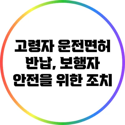 고령자 운전면허 반납, 보행자 안전을 위한 조치