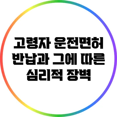 고령자 운전면허 반납과 그에 따른 심리적 장벽