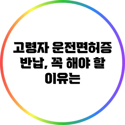 고령자 운전면허증 반납, 꼭 해야 할 이유는?