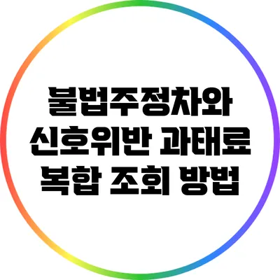 불법주정차와 신호위반 과태료 복합 조회 방법