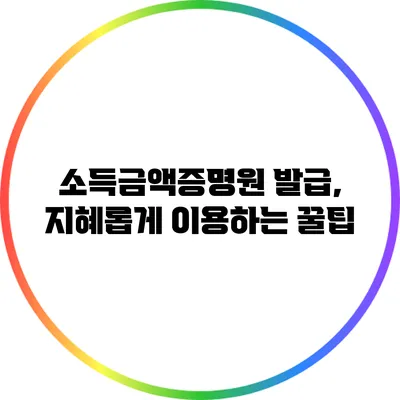 소득금액증명원 발급, 지혜롭게 이용하는 꿀팁