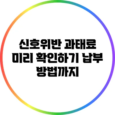 신호위반 과태료 미리 확인하기: 납부 방법까지