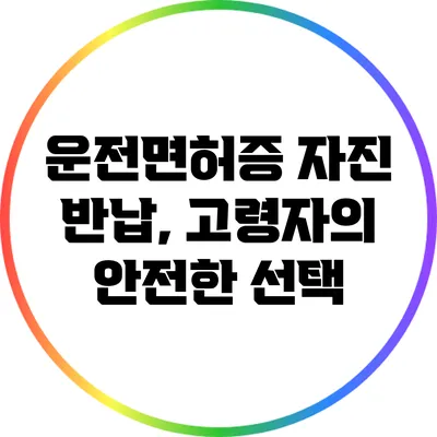 운전면허증 자진 반납, 고령자의 안전한 선택