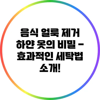 음식 얼룩 제거 하얀 옷의 비밀 – 효과적인 세탁법 소개!