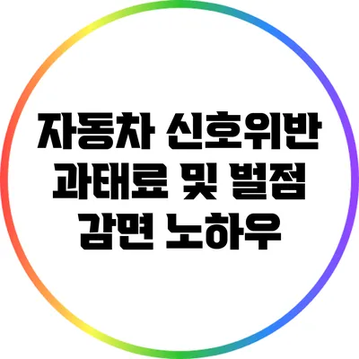 자동차 신호위반 과태료 및 벌점 감면 노하우