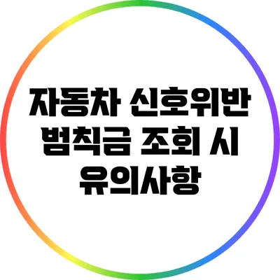 자동차 신호위반 범칙금 조회 시 유의사항