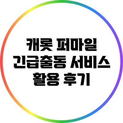 캐롯 퍼마일 긴급출동 서비스 활용 후기