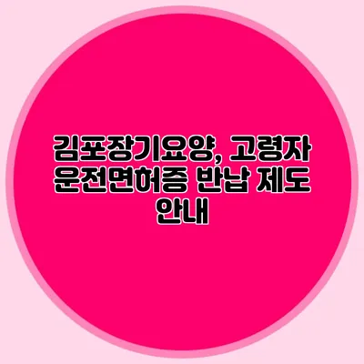 김포장기요양, 고령자 운전면허증 반납 제도 안내