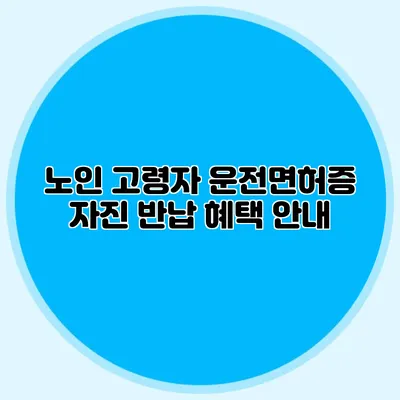 노인 고령자 운전면허증 자진 반납 혜택 안내