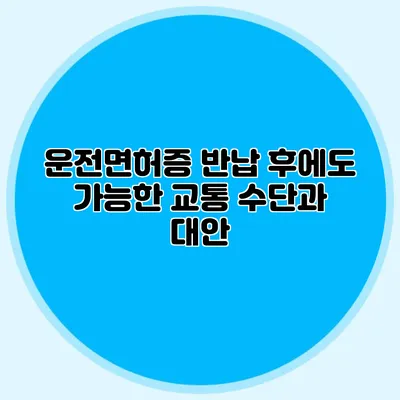 운전면허증 반납 후에도 가능한 교통 수단과 대안