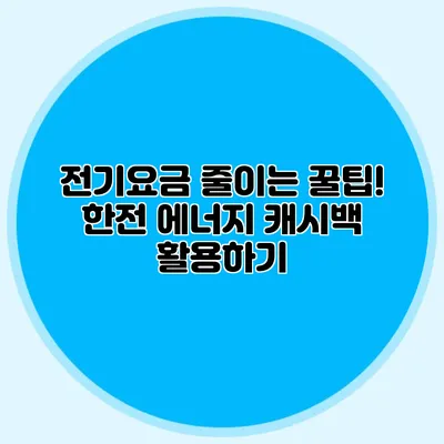 전기요금 줄이는 꿀팁! 한전 에너지 캐시백 활용하기