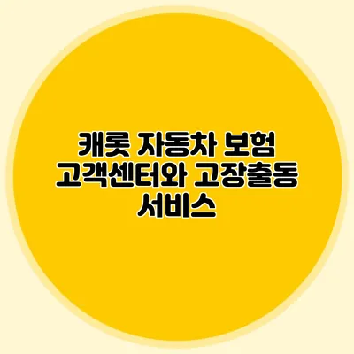 캐롯 자동차 보험 고객센터와 고장출동 서비스