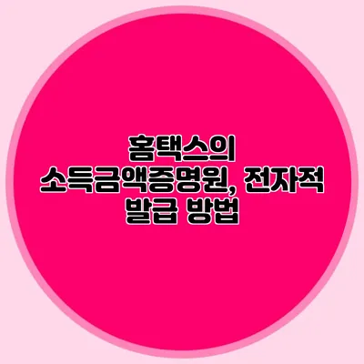 홈택스의 소득금액증명원, 전자적 발급 방법