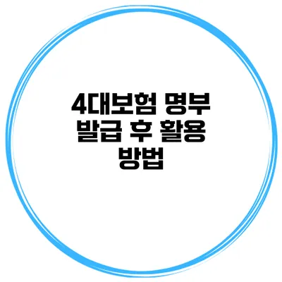 4대보험 명부 발급 후 활용 방법