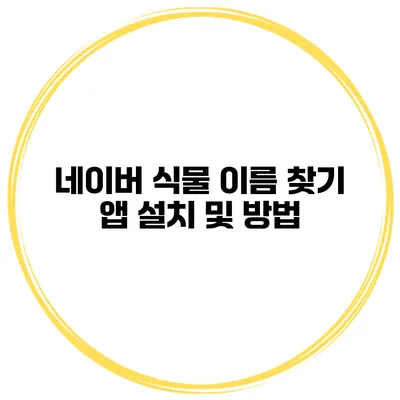 네이버 식물 이름 찾기 앱 설치 및 방법