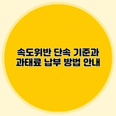 속도위반 단속 기준과 과태료 납부 방법 안내